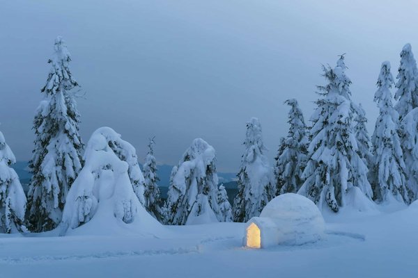 Quelles sont les techniques pour construire un igloo en camping dans une région polaire?
